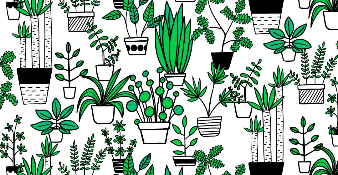 Gemma - L'illustratrice du mois de mai