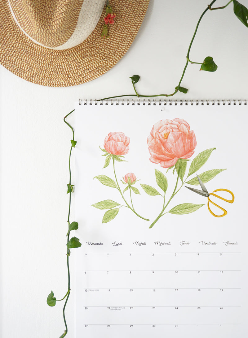 Joannie Houle - Illustratrice du mois de août