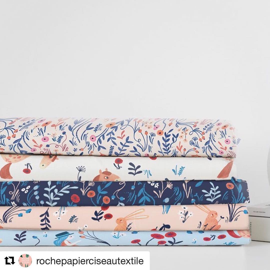 Amélie Martel - L'illustratrice du mois de juillet