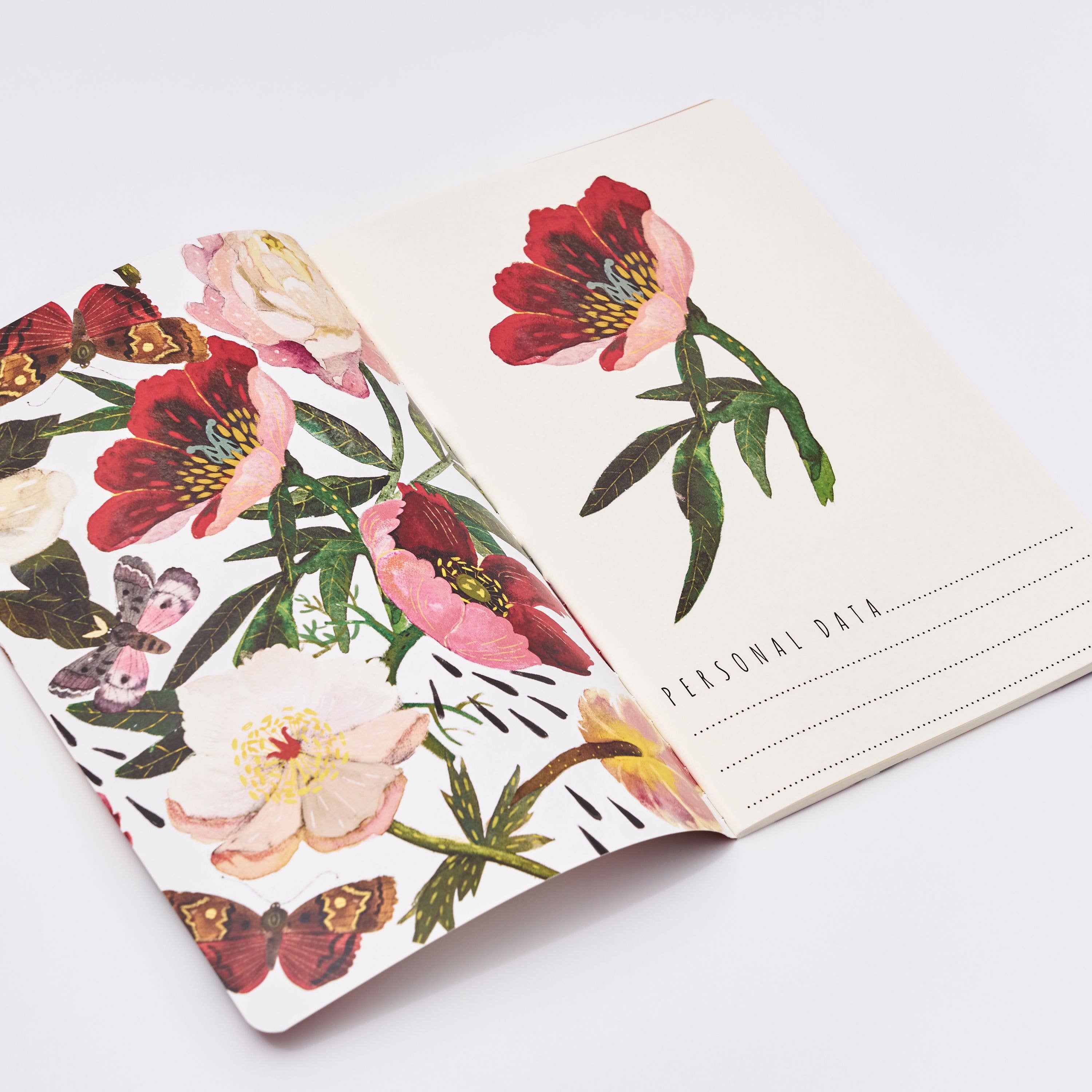Carnet ligné - Pivoines