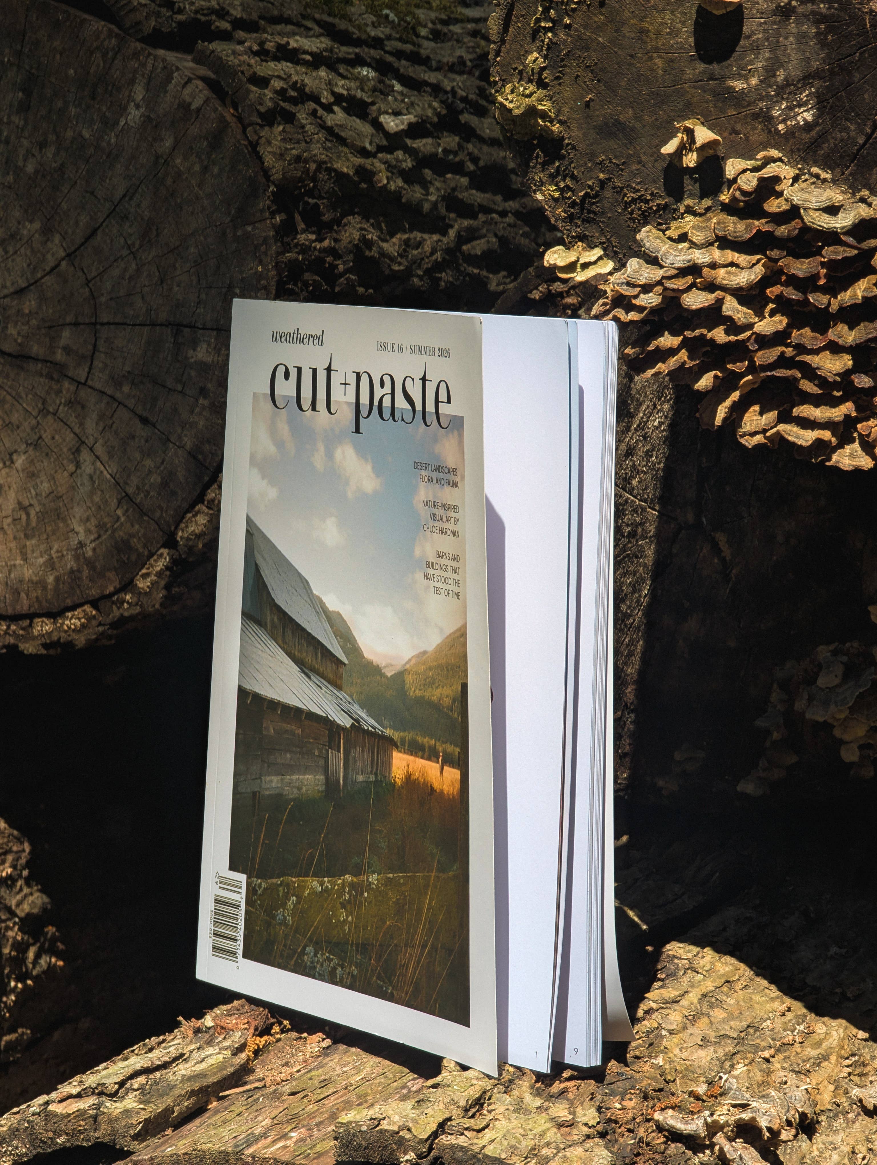 Magazine Cut and paste "Weathered" Vol.16