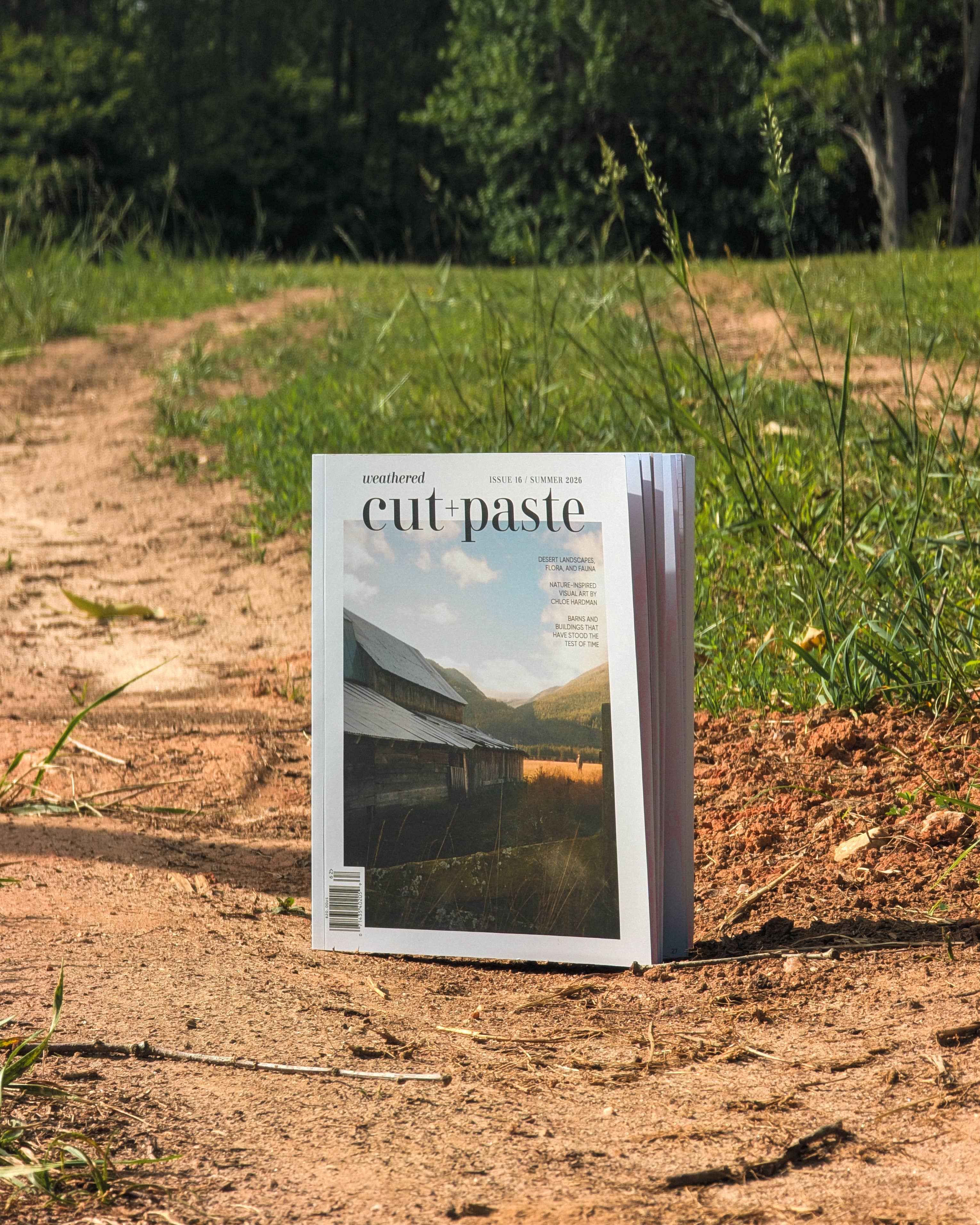 Magazine Cut and paste "Weathered" Vol.16