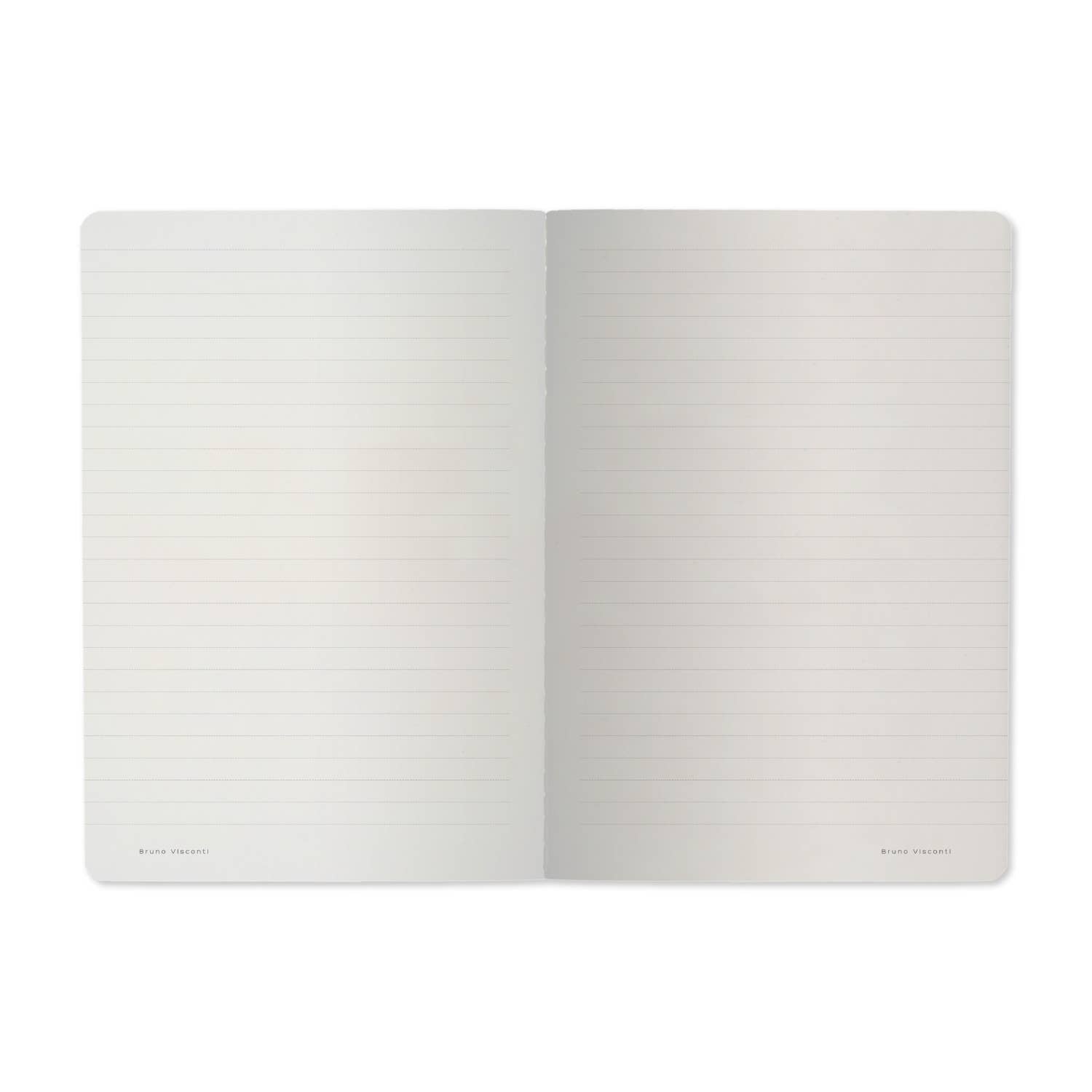 Carnet ligné - Violets et verts