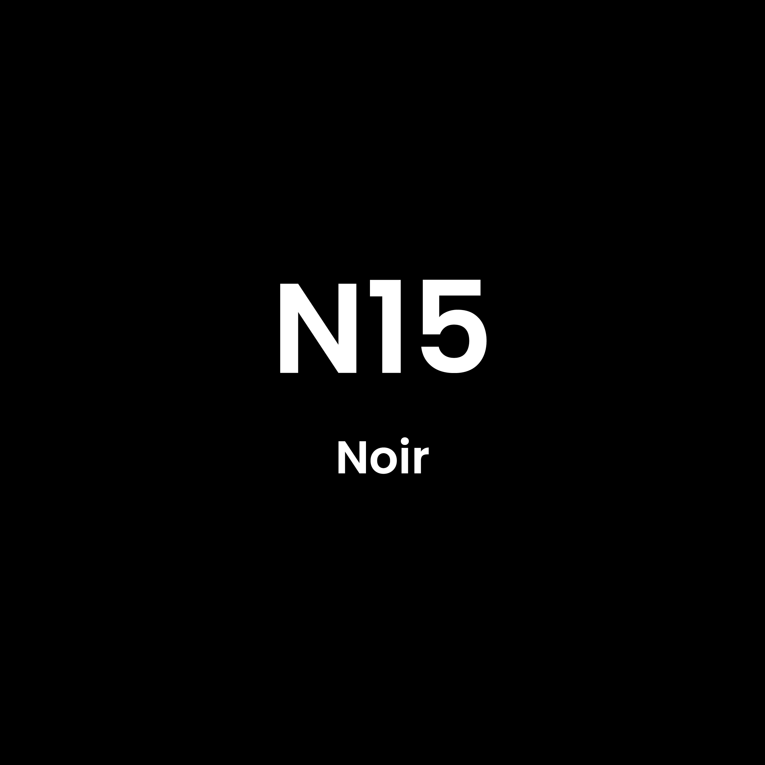 Feutres Tombow Dual Brush