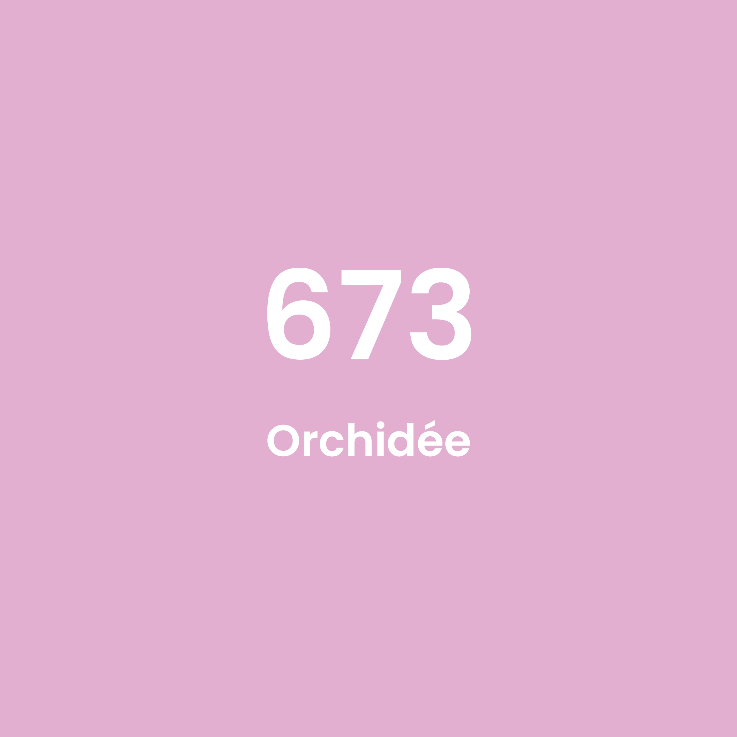 Feutres Tombow Dual Brush