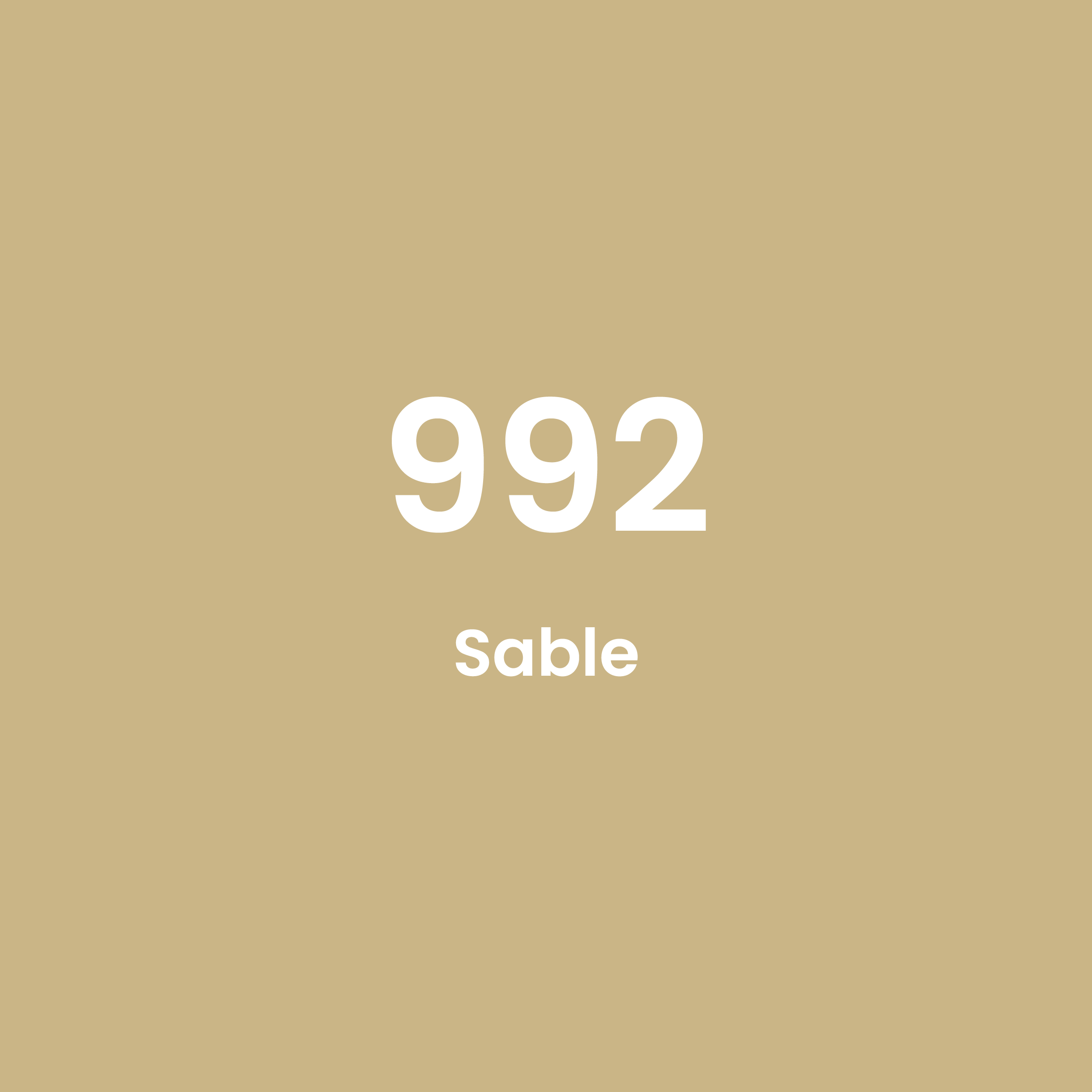 Feutres Tombow Dual Brush