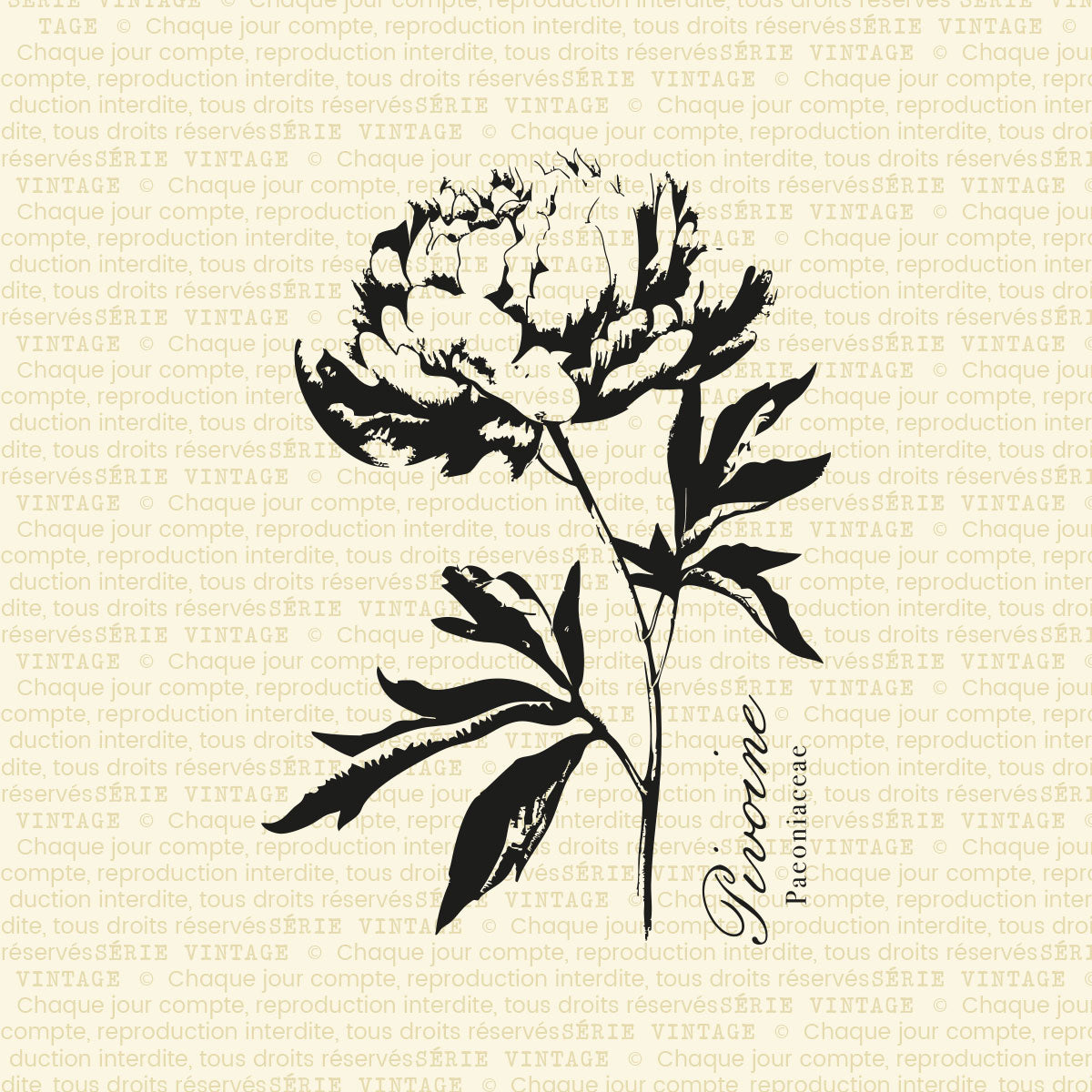 Pivoine - 1 grande étampe à découper