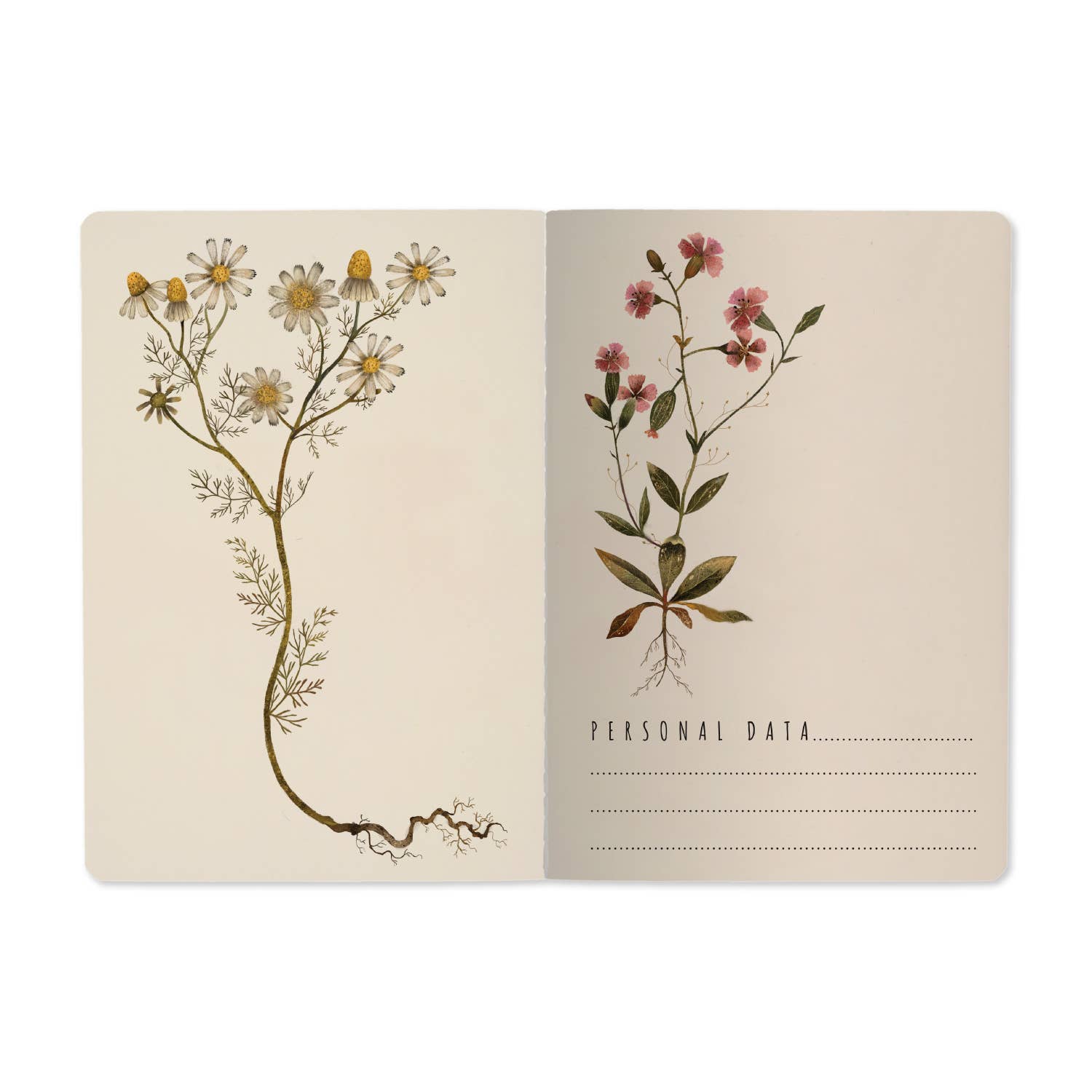 Carnet ligné - Violets et verts