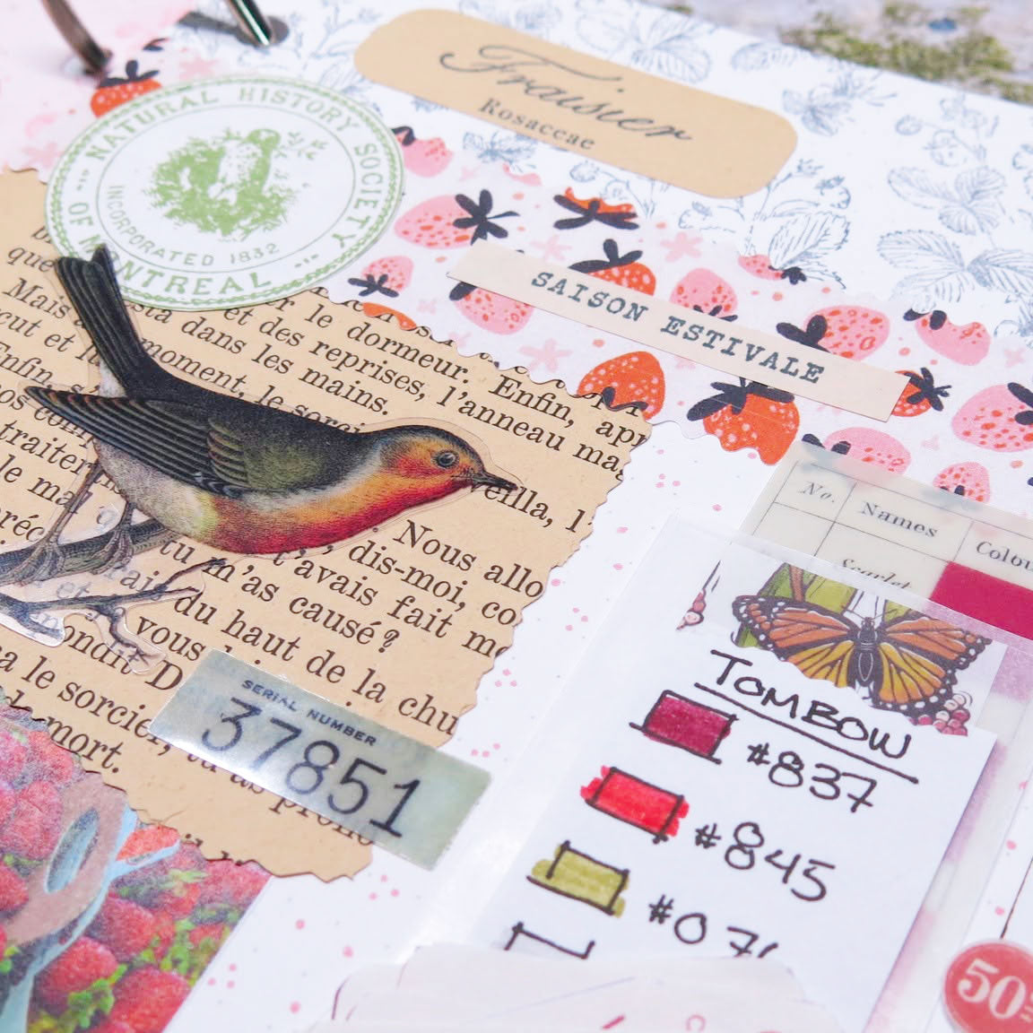 Les fraises en vedette dans un art journal