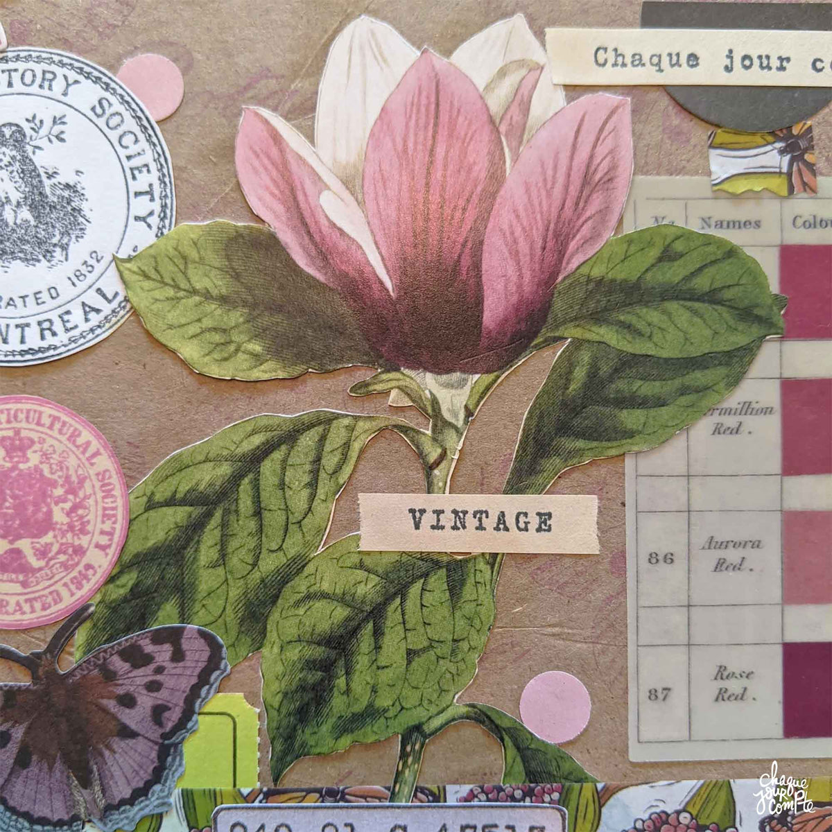 Papillons et fleurs, une carte postale botanique | Art journal