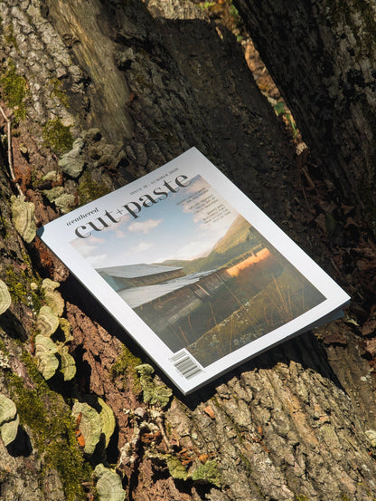 Magazine Cut and paste "Weathered" Vol.16