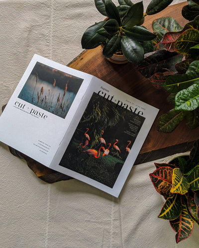 Magazine Cut and paste "Lagoon" Vol.12