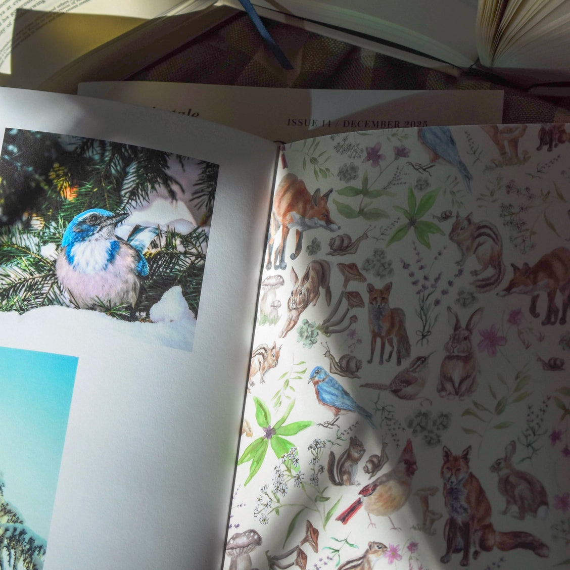 Magazine Cut and paste "Fairytale" Vol.14