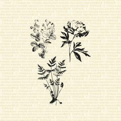Trio botanique antique - Ensemble de 3 étampes à découper