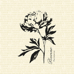 Pivoine - 1 grande étampe à découper