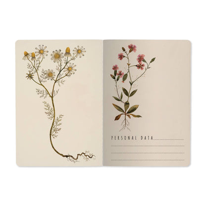 Carnet ligné - Violets et verts