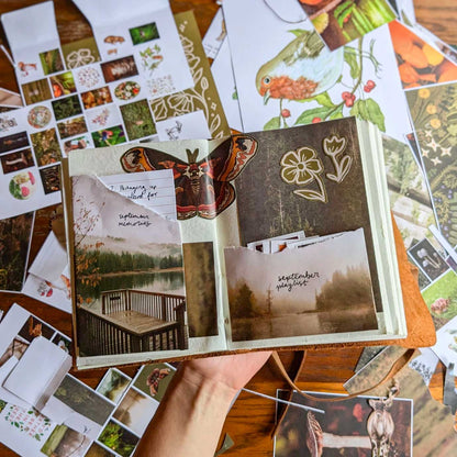 Magazine Cut and paste "Woodland" Vol.9