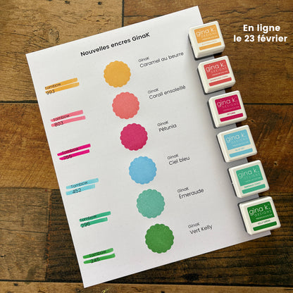 Encre GinaK - Mini Cube