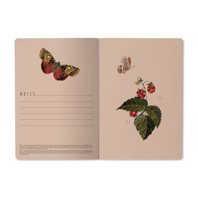 Carnet ligné - Papillons et baies