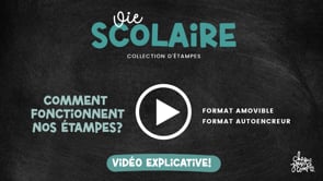 Les cibles de compétence - Ensemble de 4 étampes amovibles pour profs