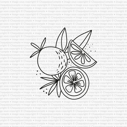 Zeste d'agrumes - 1 étampe