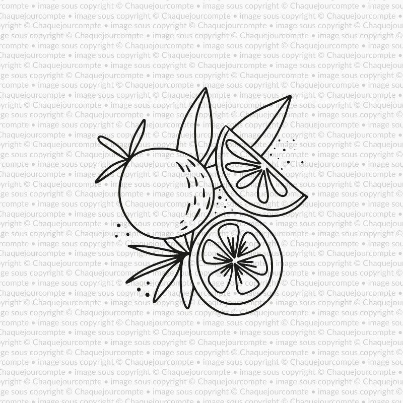 Zeste d'agrumes - 1 étampe