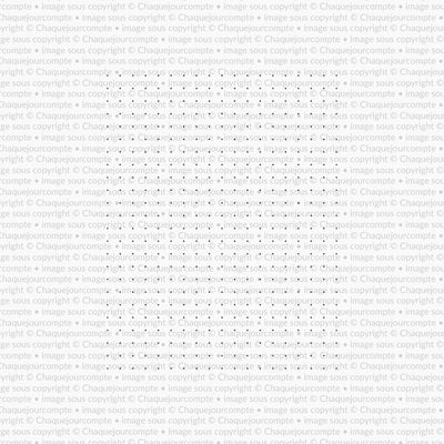 Étampe - Feuille picotée
