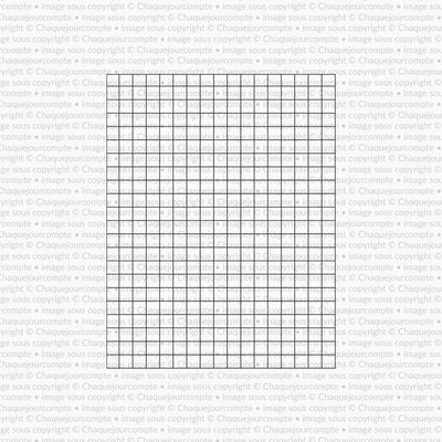 Étampe - Feuille quadrillée