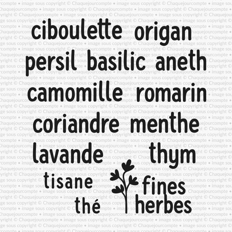 Fines herbes - Titres- Ensemble de 14 étampes à découper