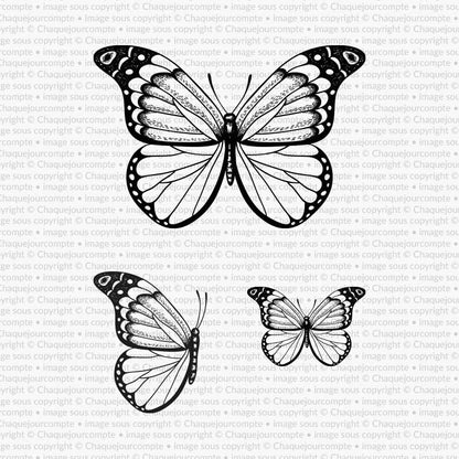 Papillons doux - 3 étampes à découper