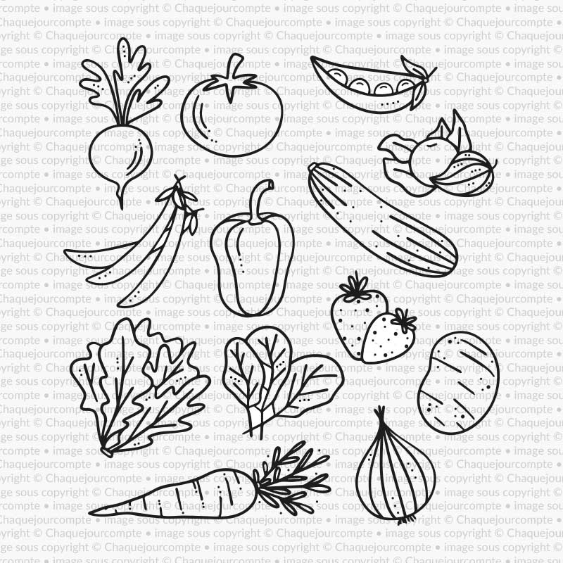 Potager - Illustrations - Ensemble de 13 étampes